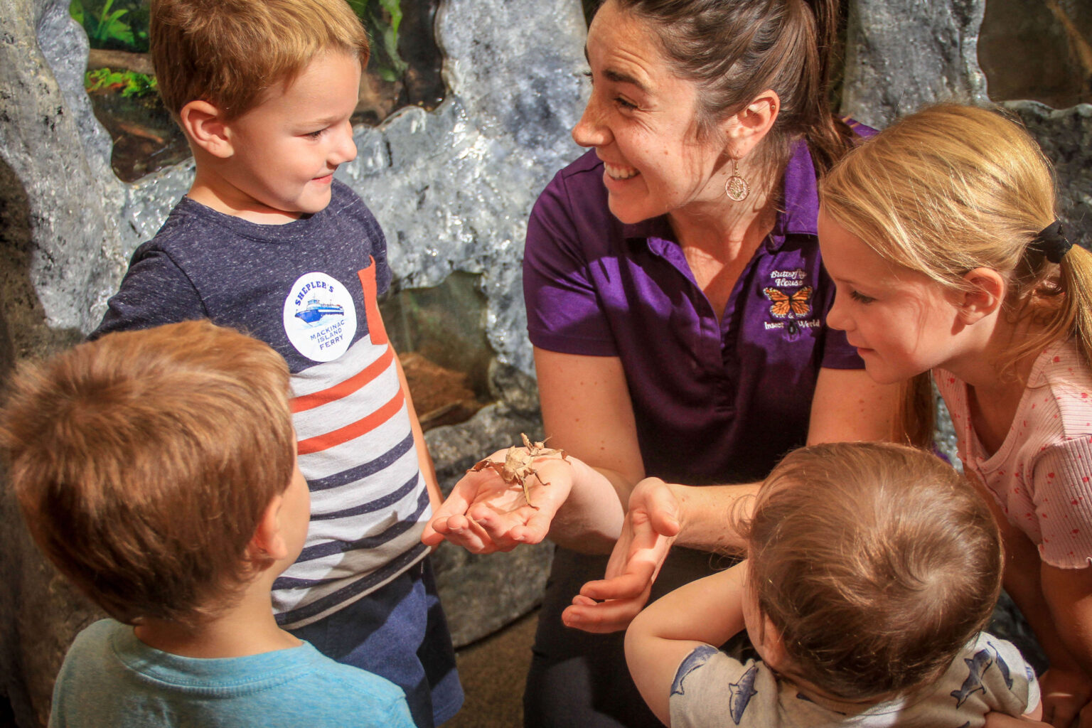 A staff member in a purple Butterfly House polo holds an insect on her open hand while four children lean in to look.