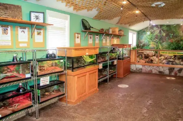 Inside Insect World.